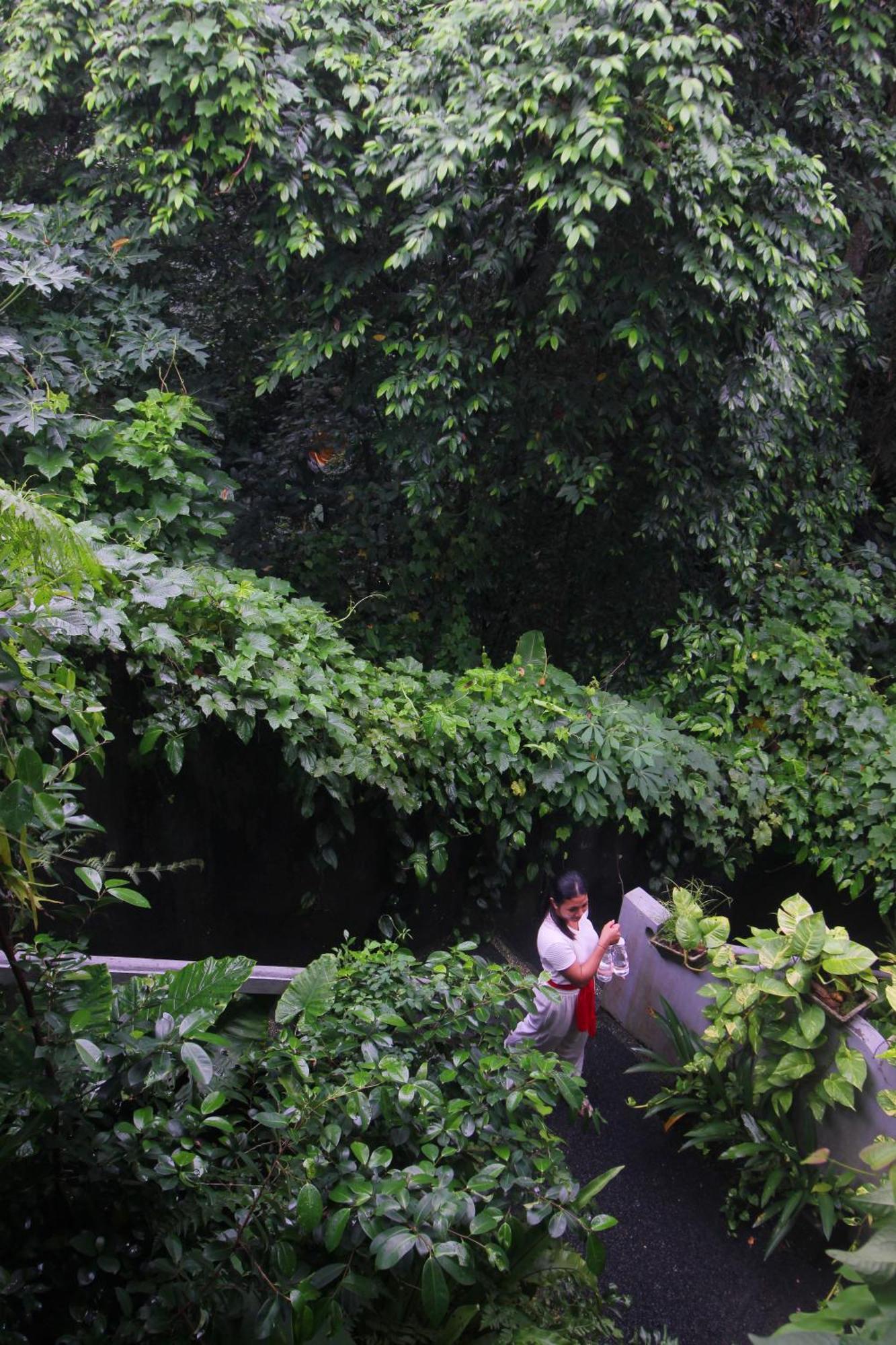 Sari Gong Guest House, A Trishula Collection Ubud  Exterior photo