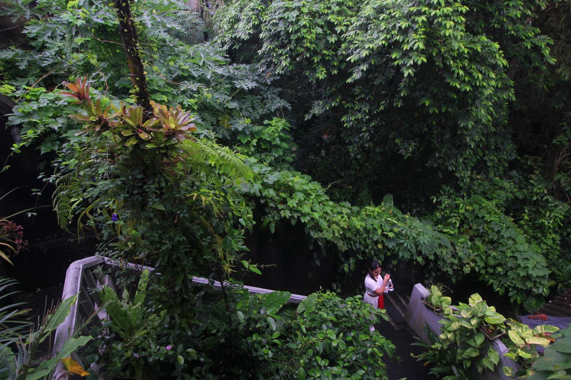 Sari Gong Guest House, A Trishula Collection Ubud  Exterior photo